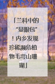 兰科中的“显眼包”！内乡发现珍稀濒危植物毛萼山珊瑚